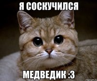 я соскучился медведик :3