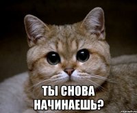  Ты снова начинаешь?