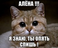 АЛЁНА !!! Я ЗНАЮ, ТЫ ОПЯТЬ СПИШЬ !