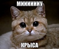 Мииииииу Крыса