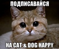 Подписавайся На Cat & Dog Happy