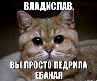 Владислав, вы просто педрила ебаная