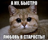 А ну, быстро ЛЮБОВЬ В СТАРОСТЫ!