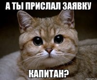 А ты прислал заявку капитан?