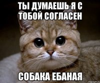 ты думаешь я с тобой согласен собака ебаная