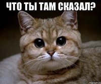 Что ты там сказал? 