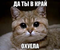 да ты в край охуела