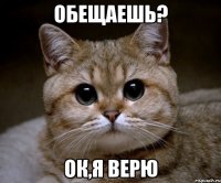 обещаешь? ок,я верю