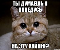 ты думаешь я поведусь на эту хуйню?