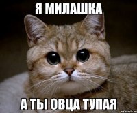 Я милашка А ты овца тупая