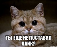  ты еще не поставил лайк?