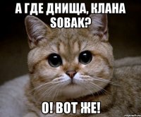 А где днища, клана SOBAK? О! Вот же!