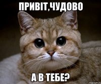 Привіт,чудово А в тебе?