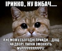 Іринко,, ну вибач..... я не можу сьогодні прийди.....дощ на дворі, лапки змокнуть. Муррррррррррр))*