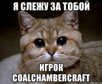 Я слежу за тобой Игрок CoalChamberCraft