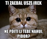 Ti zaebal usze Irek Ne poiti li tebe nahui, pidor?