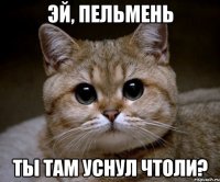 Эй, пельмень Ты там уснул чтоли?