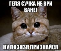 Геля сучка не ври Ване! Ну позязя признайся