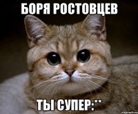 Боря Ростовцев Ты Супер:**