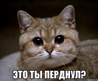  Это ты перднул?