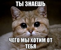 Ты знаешь чего мы хотим от тебя