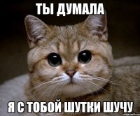 ты думала я с тобой шутки шучу