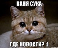 ВАНЯ СУКА ГДЕ НОВОСТИ? :)