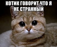 Котик говорит что я не странный 