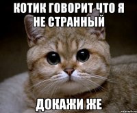 Котик говорит что я не странный Докажи же