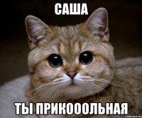 САША ТЫ ПРИКОООЛЬНАЯ