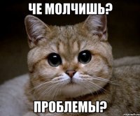 че молчишь? проблемы?