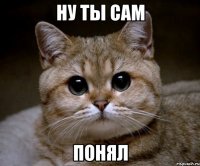 ну ты сам понял