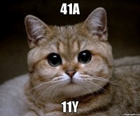 41A 11Y