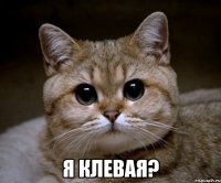  Я клевая?