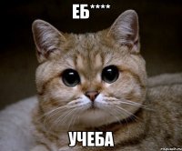 Еб**** учеба