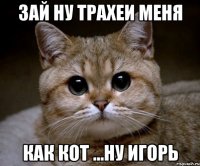 Зай ну трахеи меня Как кот ...ну Игорь