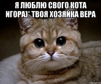 Я люблю свого кота Игора)* твоя хозяйка Вера 