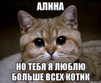 Алина Но тебя я люблю больше всех Котик