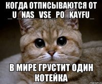 Когда отписываются от _u_nas_vse_po_kayfu_ В мире грустит один котейка