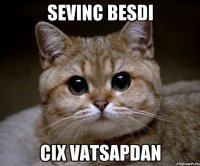 Sevinc besdi Cix vatsapdan