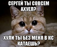 Сергей ты совсем ахуел? Хули ты без меня в кс катаешь?