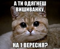 А ти одягнеш вишиванку, На 1 вересня?