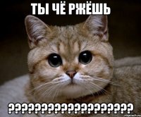 Ты чё ржёшь ???????????????????