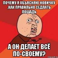 Почему я объясняю новичку ,как правильно седлать лошадь А он делает всё по-своему?