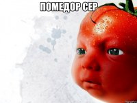 помедор сер 