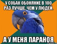 У собак обоняние в 100 раз лучше, чем у людей. а у меня параноя