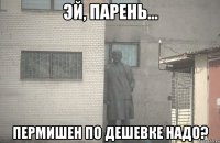  пермишен по дешевке надо?