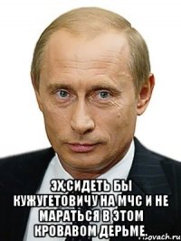  эх,Сидеть бы Кужугетовичу на МЧС и не мараться в этом кровавом дерьме.