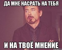 да мне насрать на тебя и на твоё мнение