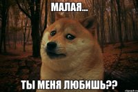 Малая... Ты меня любишь??